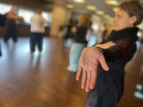 Taiji, Taiči, qigong, čchikung, Cheb, sokolov, Karlovy vary, Kynšperk nad Ohří,